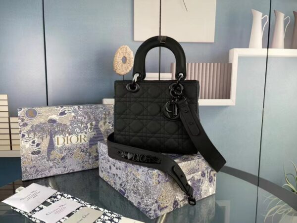 New Collection Dior Bag 0126