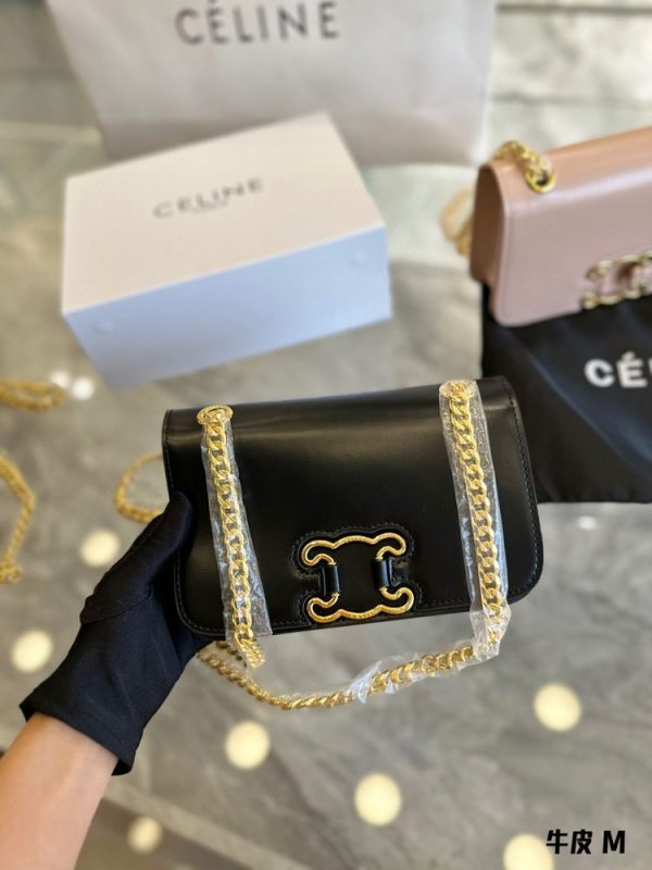 New Collection Celine Bag 065