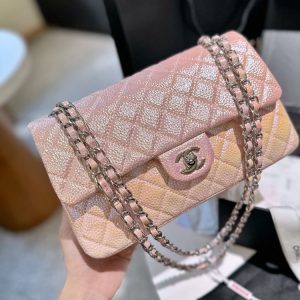 New Collection Chanel Bag 0111