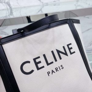 New Collection Celine Bag 089