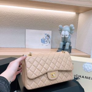 New Collection Chanel Bag 0158