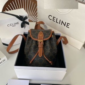 New Collection Celine Bag 015