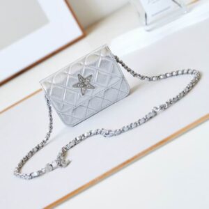 New Collection Chanel Bag 577