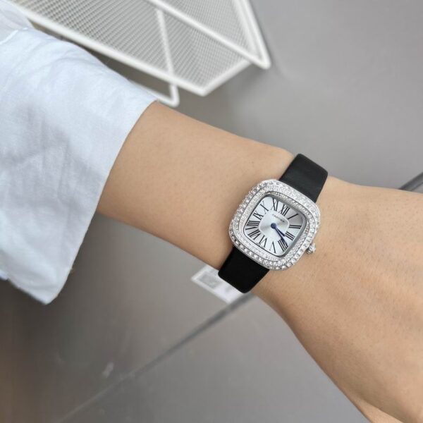 New Collection Cartier Watch 096