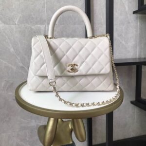 New Collection Chanel Bag 555