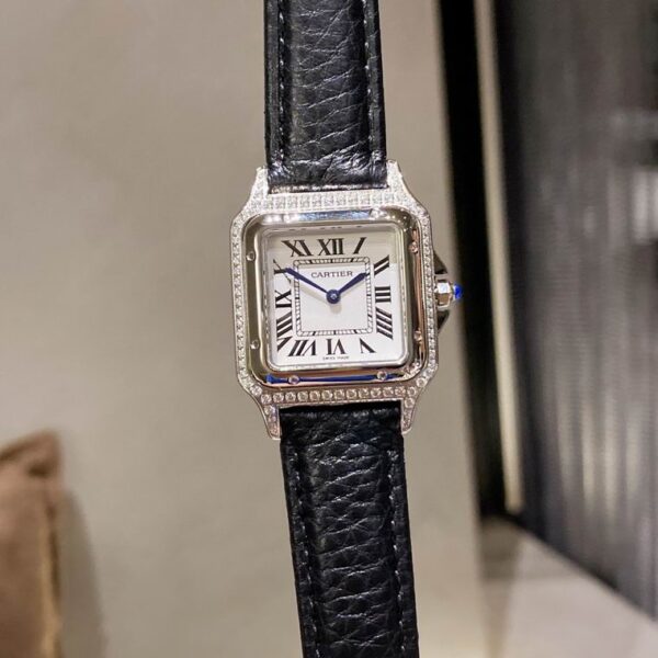 New Collection Cartier Watch 089