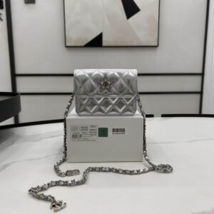 New Collection Chanel Bag 576