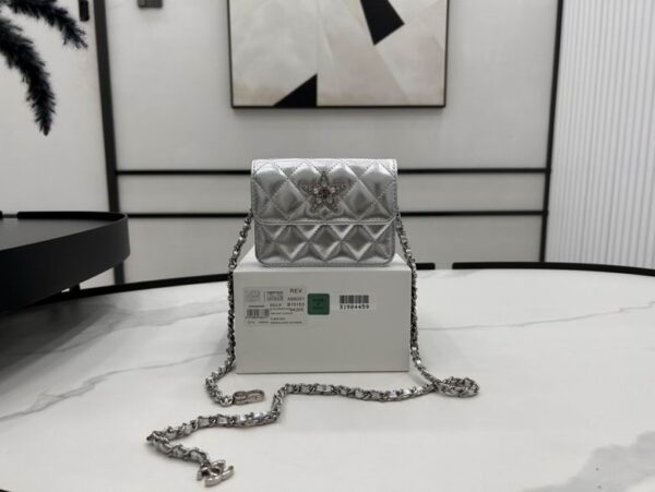 New Collection Chanel Bag 576