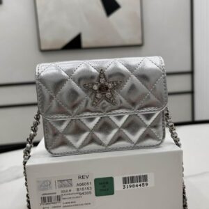 New Collection Chanel Bag 576