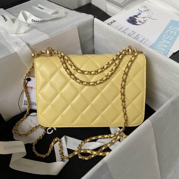 New Collection Chanel Bag 579