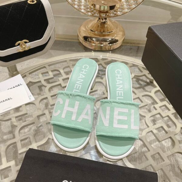 New Collection Chanel Shoes 161