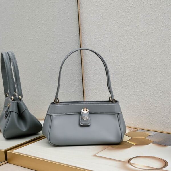 New Collection Dior Bag 0169