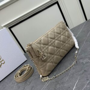 Dior Midi 1668 23x13x5cm ww (18) 1161114