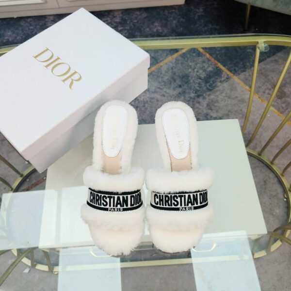 New Collection Dior Shoes 171