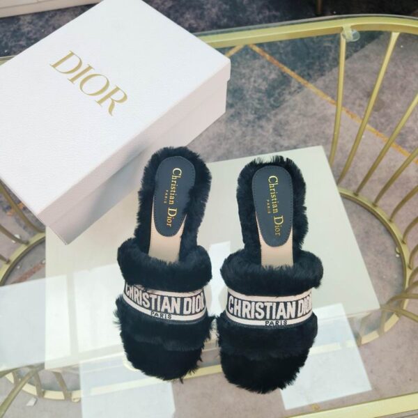 New Collection Dior Shoes 171