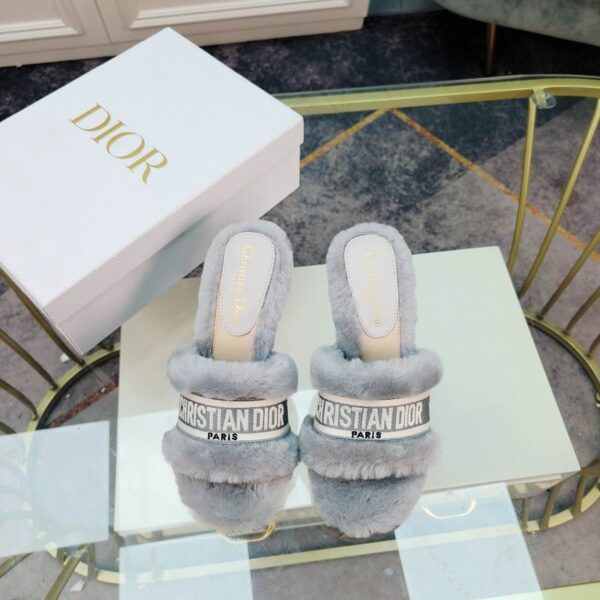 New Collection Dior Shoes 171