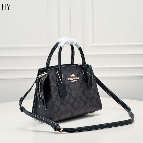 New Collection Coach Bag 17