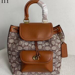 New Collection Coach Bag 02