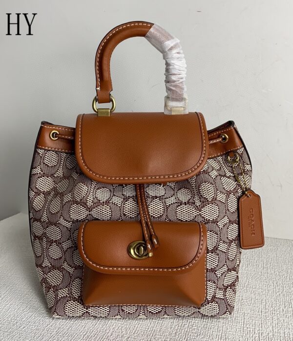 New Collection Coach Bag 02