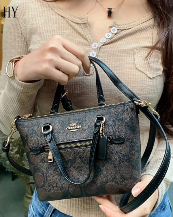 New Collection Coach Bag 22