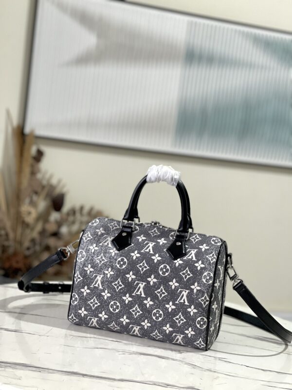 New Collection LV Bag 015