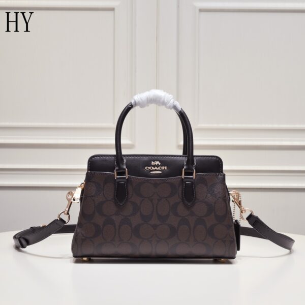 New Collection Coach Bag 15