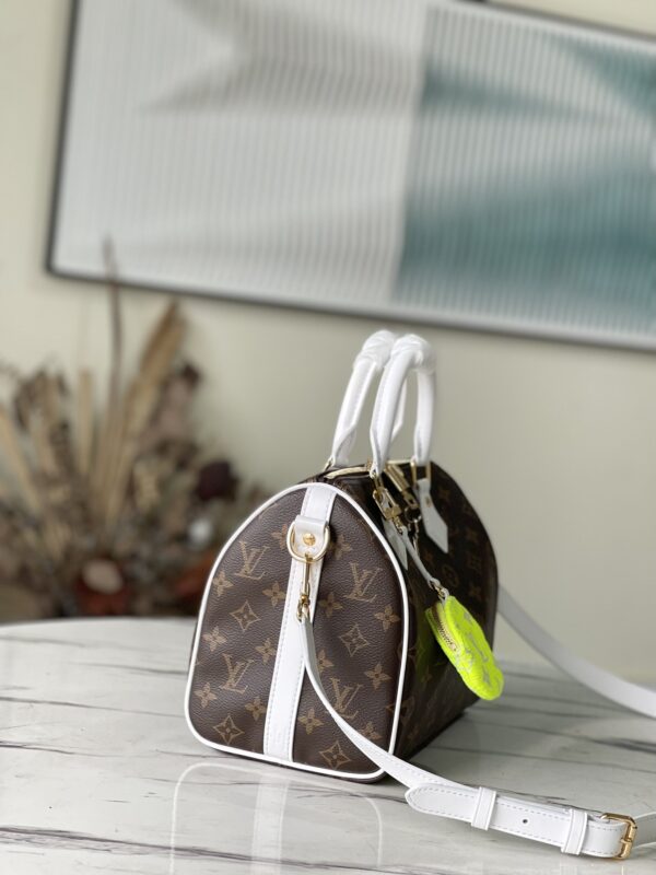 New Collection LV Bag 099