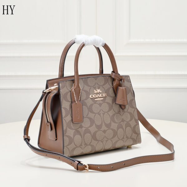 New Collection Coach Bag 16