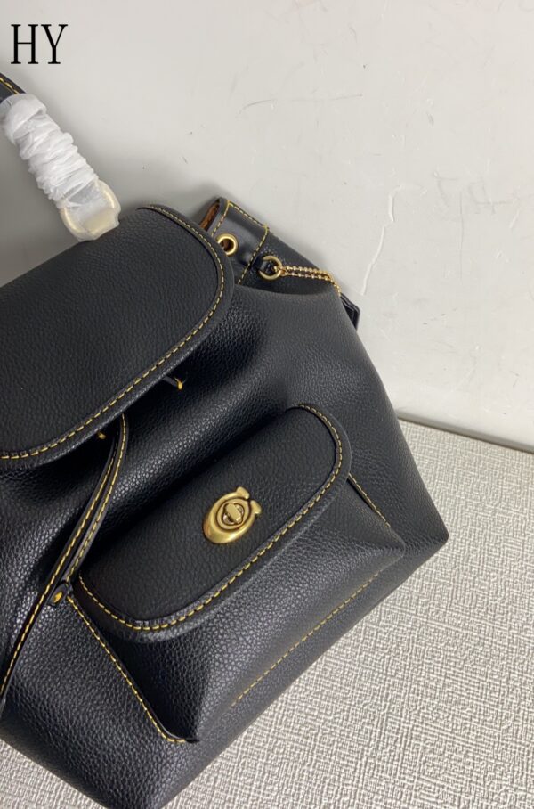 New Collection Coach Bag 04