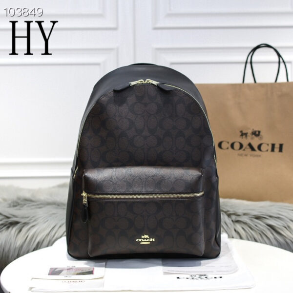 New Collection Coach Bag 21