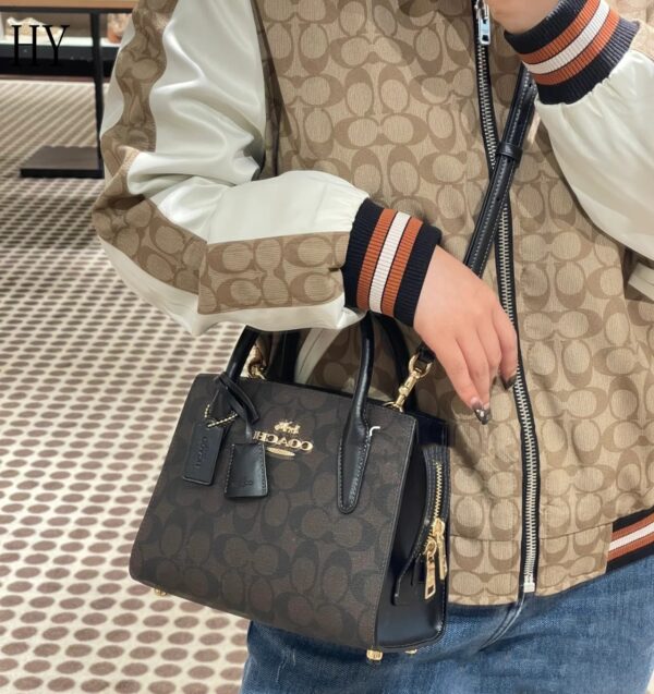 New Collection Coach Bag 17