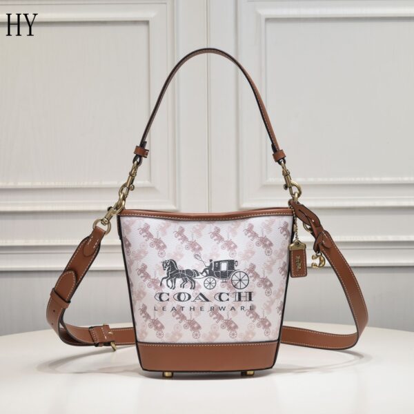 New Collection Coach Bag 13