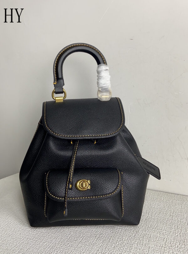 New Collection Coach Bag 04