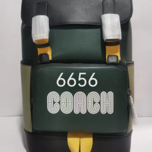 New Collection Coach Bag 43