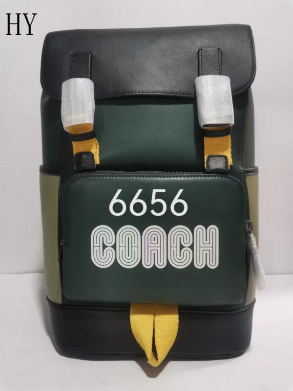 New Collection Coach Bag 43