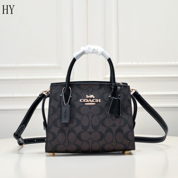 New Collection Coach Bag 17