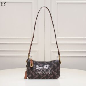 New Collection Coach Bag 12