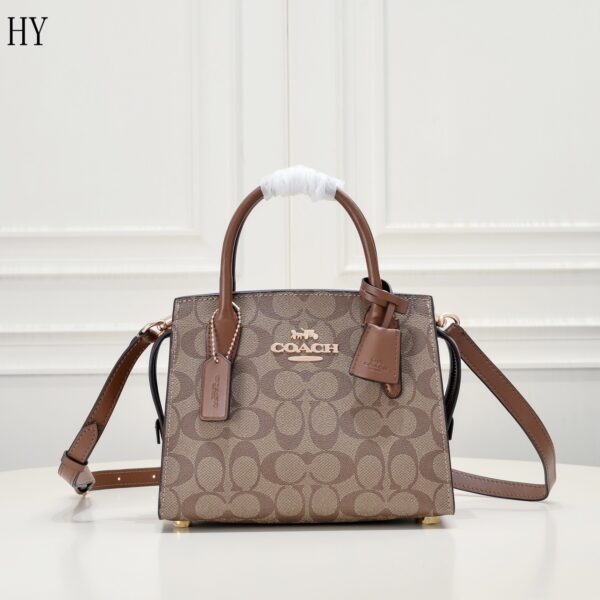 New Collection Coach Bag 16