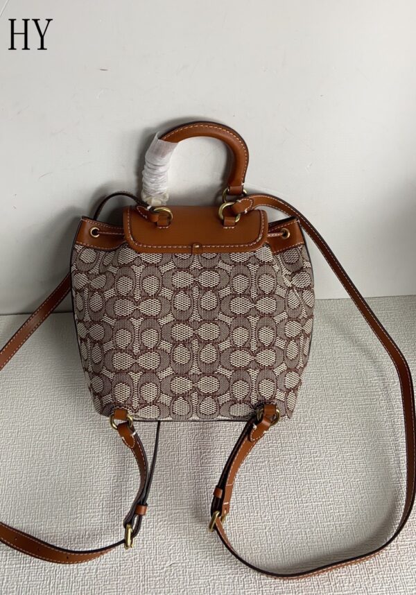 New Collection Coach Bag 02