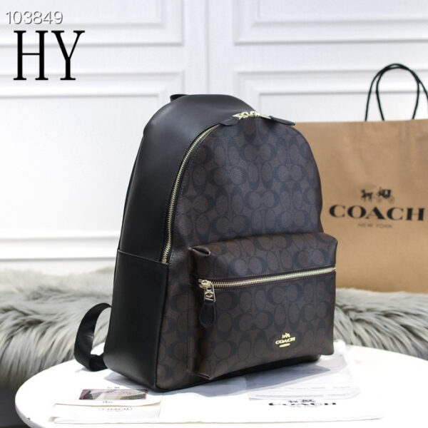 New Collection Coach Bag 21