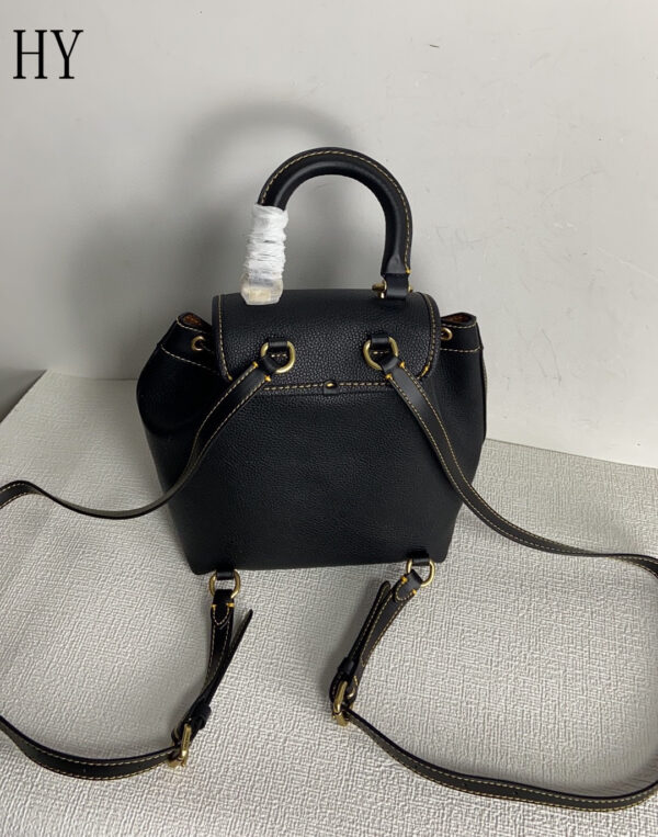 New Collection Coach Bag 04