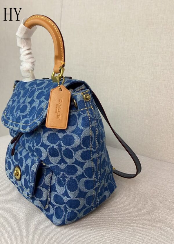 New Collection Coach Bag 03