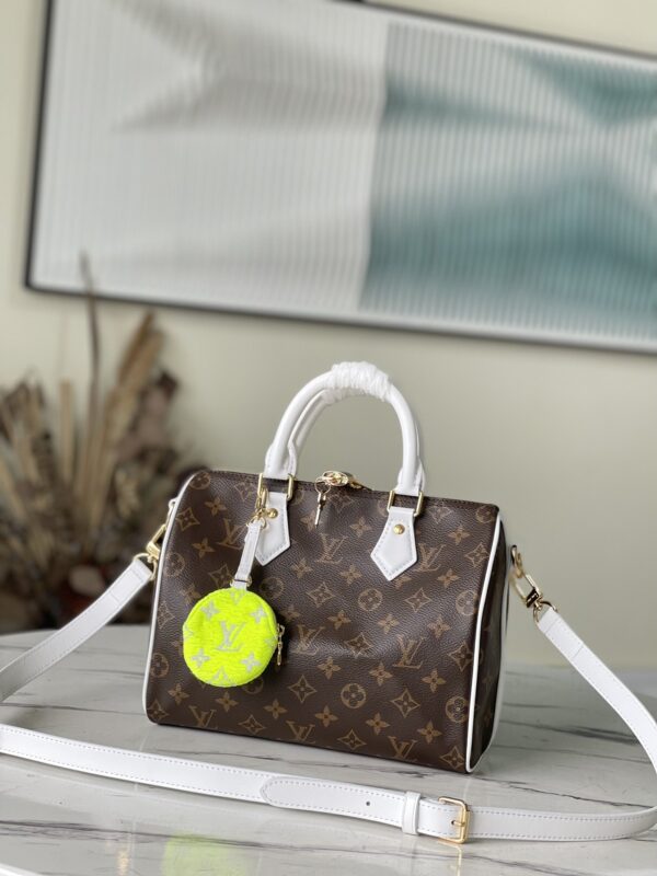 New Collection LV Bag 099