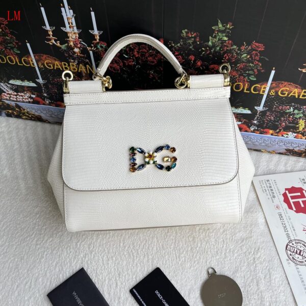 New Collection Dolce & Gabbana Bag 21