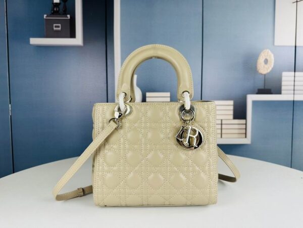 New Collection Dior Bag 0242