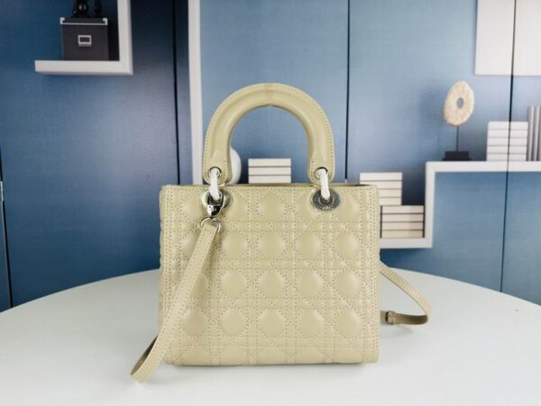 New Collection Dior Bag 0242