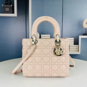 New Collection Dior Bag 0242