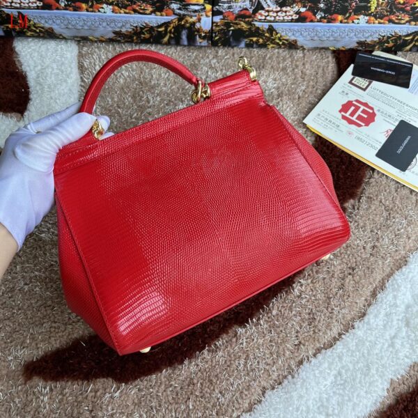 New Collection Dolce & Gabbana Bag 21