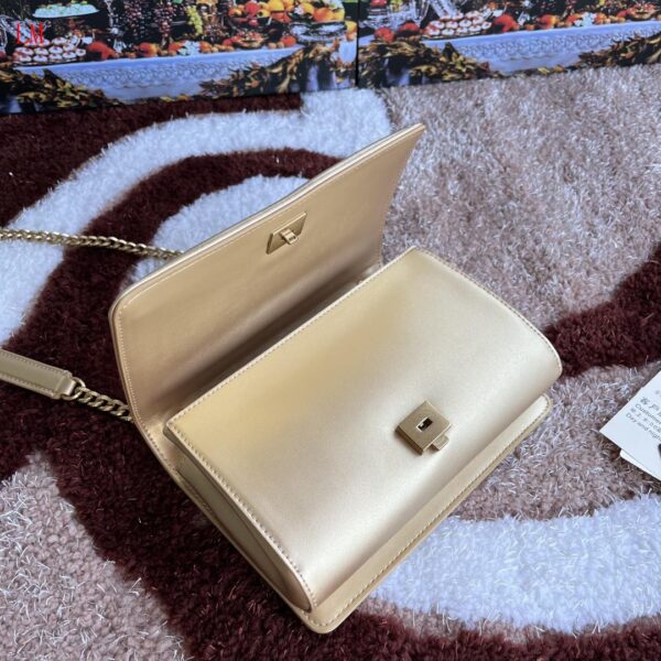 New Collection Dolce & Gabbana Bag 10