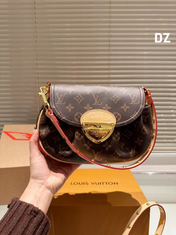 New Collection LV Bag 1573